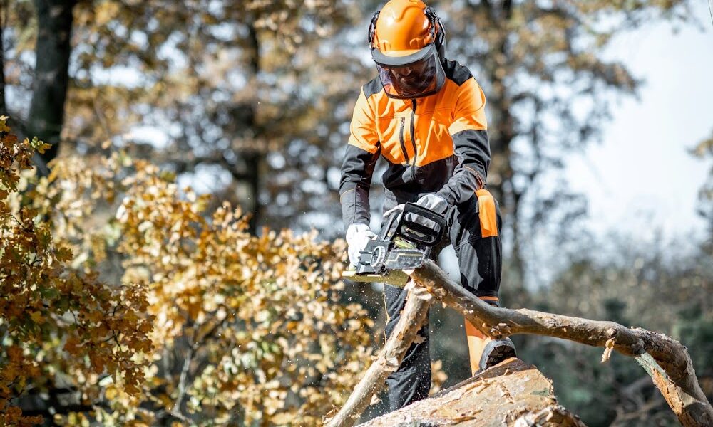 Columbus Tree Service Experts