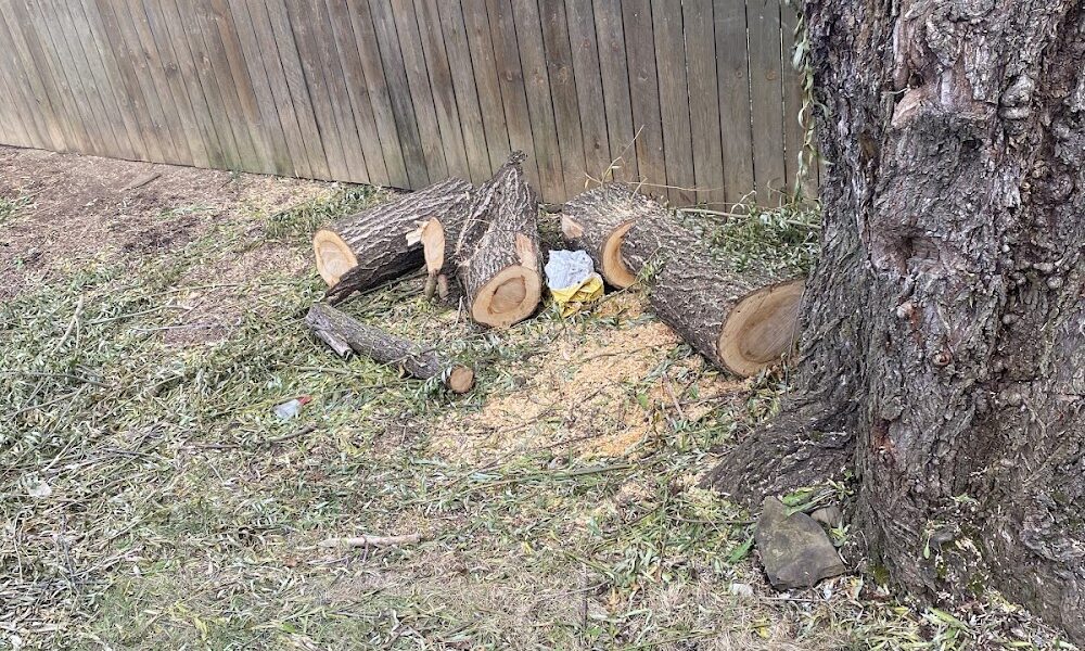 In & Out Tree Care
