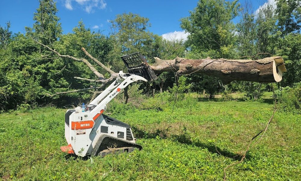 Johnsons Tree Service LLC
