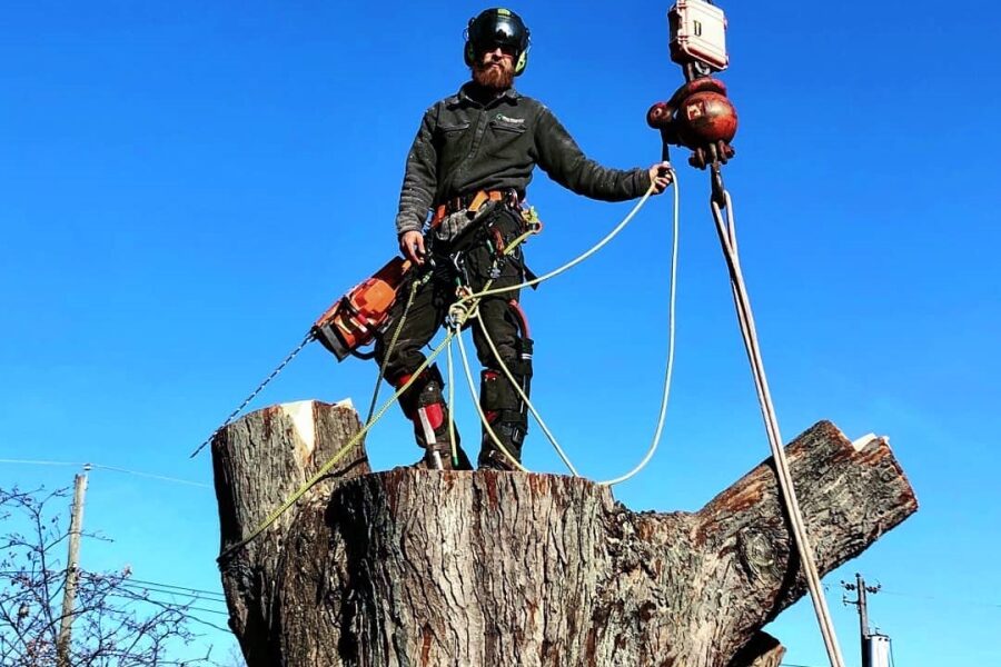 Joseph Tree Service