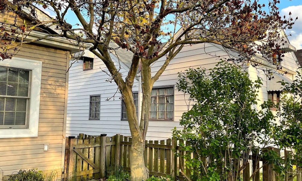Maplewood Tree Service