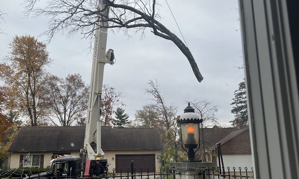 Ohio Tree Care
