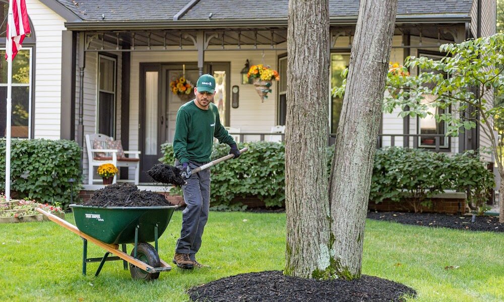 The Davey Tree Expert Company