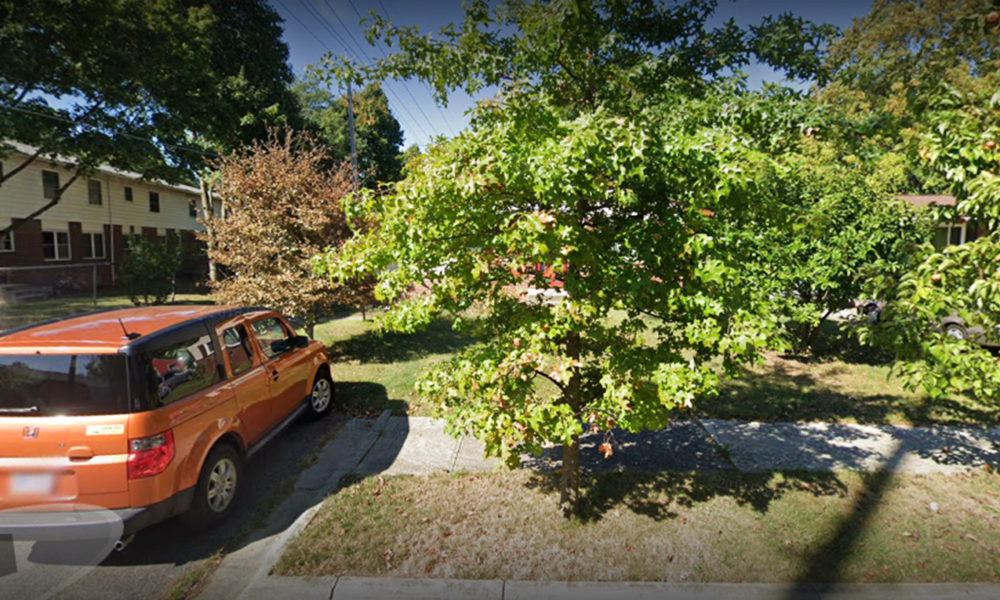 Premier Tree Services & Stump