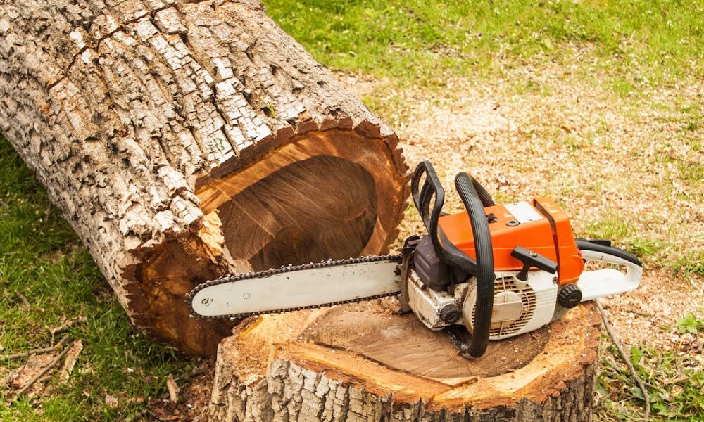 Frazier Tree Care LLC