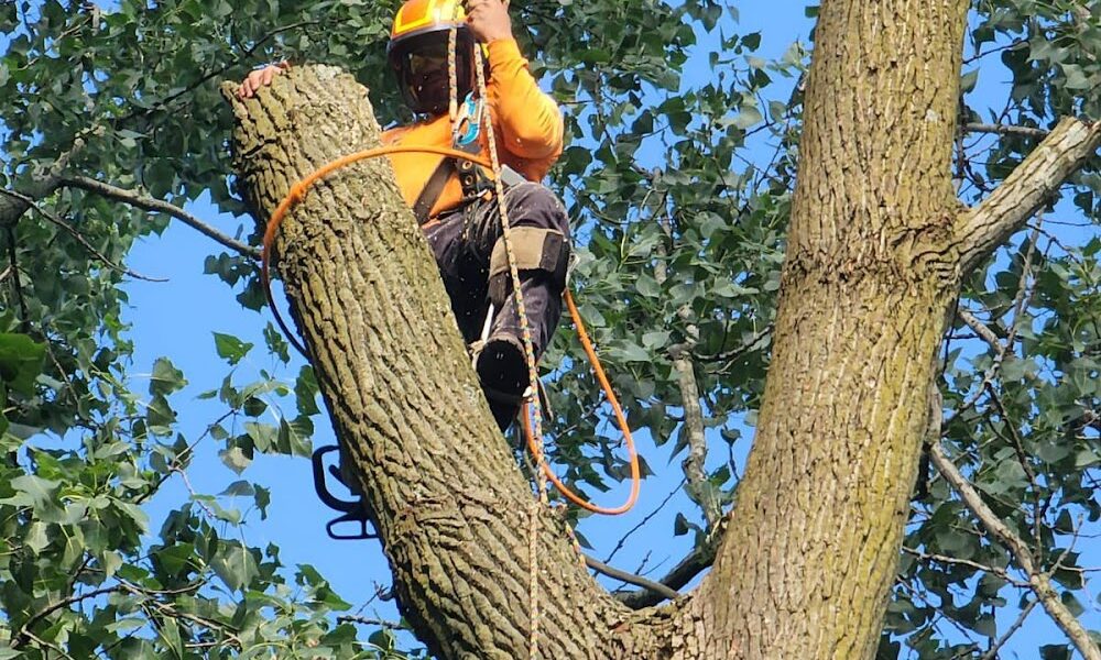 Mulch Experts & Tree Care LLC