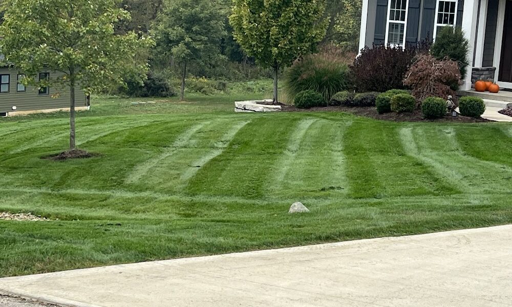 NexGreen Lawn and Tree Care