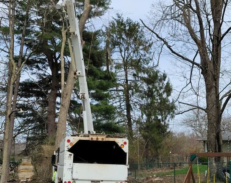 Specialty Outdoor Services LLC