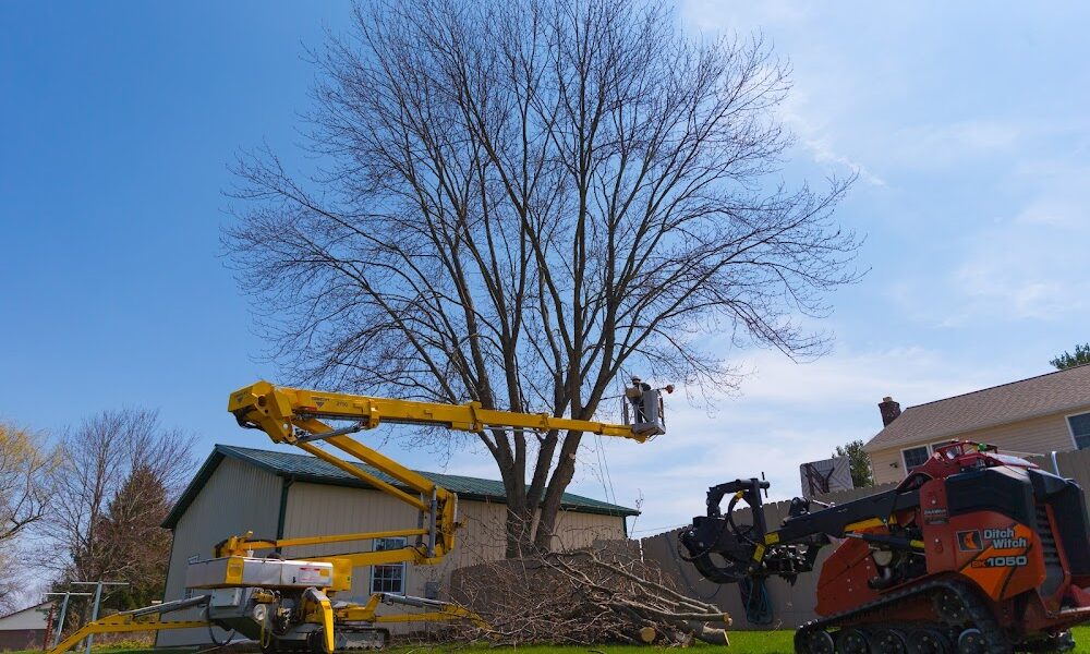 Westerville Tree Service