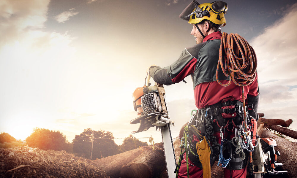 arborist-for-hire-in-columbus-oh