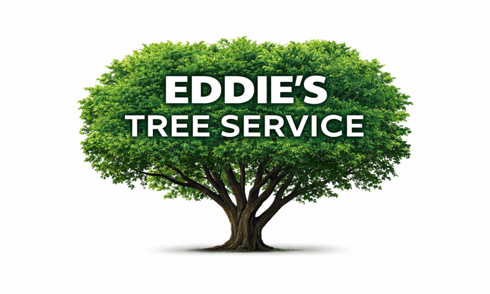 Eddie’s Tree Service LLC