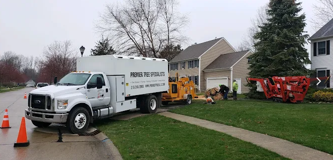 Premier Tree Specialists Columbus